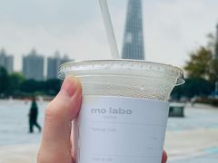 -海心沙亚运公园