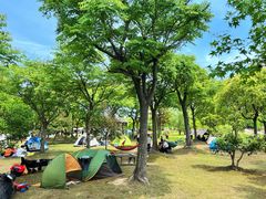 -广富林郊野公园
