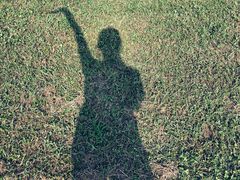 -上海棕榈滩海景酒店