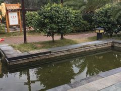 -咸宁万豪温泉谷度假区