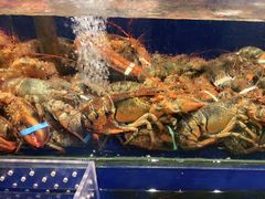 -高佳庄·舟山海鲜(海景旗舰店)