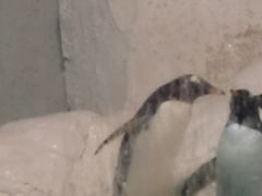 -大连圣亚海洋世界