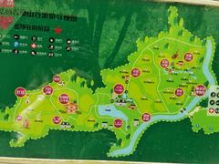 -紫颐香薰山谷景区