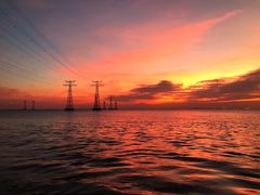 -宝安西湾红树林湿地公园