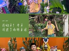 -正佳雨林生态植物园