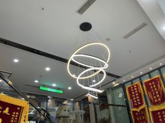 -半岛宠物医院24小时·内窥镜·牙科·碎石中心(府城大道店)