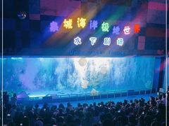 -泉城欧乐堡海洋极地世界