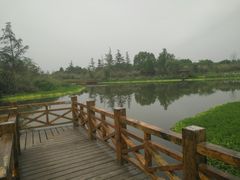 -桤木河湿地公园