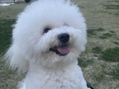 -谐和贝康宠物医院24小时·宠保定点(急重症转诊中心)