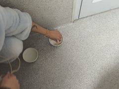 -谐和贝康宠物医院24小时·宠保定点(急重症转诊中心)