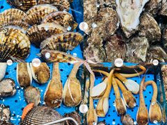 -大连湾旭日·家宴·海肠捞饭(马栏广场店)