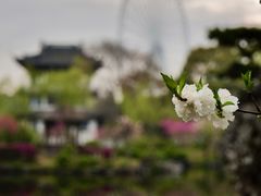 -无锡蠡湖国家湿地公园-蠡园