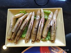 蛏子-青岛小羔羊火锅(李村公园店)