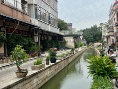 -碧江金楼