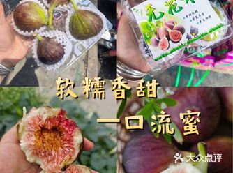 无花果｜治愈夏天的滋补佳品