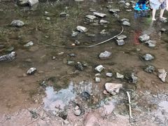 -重庆彩云湖湿地公园