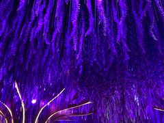 -好友缘酒家(会展中心店)