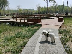 -东郊湿地公园
