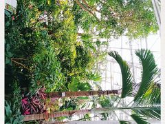 -北京植物园-展览温室