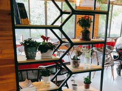 -生态苑农庄(十里画廊遇龙河店)