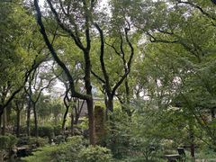 -天一阁博物院