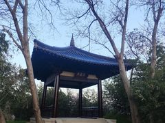 -蜀冈西峰生态公园