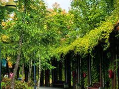 -狼山风景名胜区