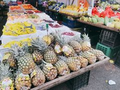 -红星农博物流中心