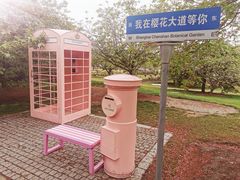 -上海辰山植物园