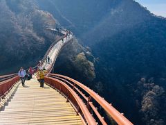 -少华山国家森林公园