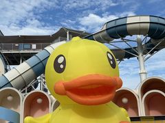 -巨鹏飞梦幻海岸