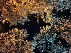 -龙美术馆(西岸馆)