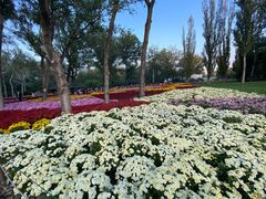 -国家植物园南园