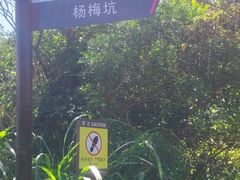 -杨梅坑