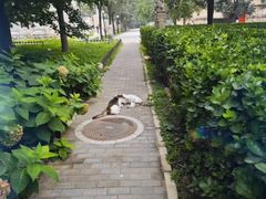 -北京石刻艺术博物馆(五塔寺)