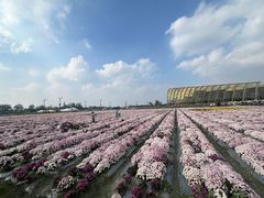 -中国天府农业博览园