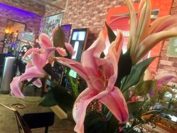 -BM SALON