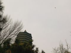 -玲珑塔公园