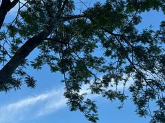 -深圳湾公园(南山区)