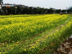 -韶山毛泽东同志故居