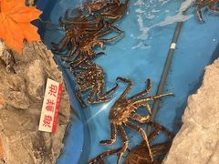-耕海蟹将军(万象城店)