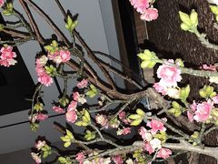-臻享养生·SPA·影院式足道(汇臻店)