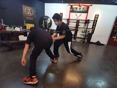-温鉴良实用咏春拳