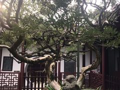 -水绘园