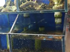 -香满居张记小厨私房菜(青岛站店)