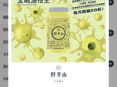 -野萃山·潮汕厚果汁(十亩地店)