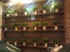 -真枪会射击俱乐部(河西中央公园店)