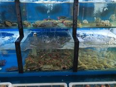 水产区-老东镇啤酒屋海鲜加工·蒸汽海鲜·海鲜烧烤(台东店)