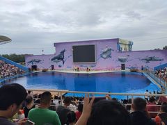 -北戴河圣蓝海洋公园