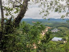 -中国科学院西双版纳热带植物园